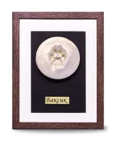 Индивидуальный слепок лапы