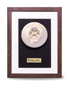 Индивидуальный слепок лапы