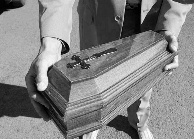 Что делать после смерти домашнего питомца