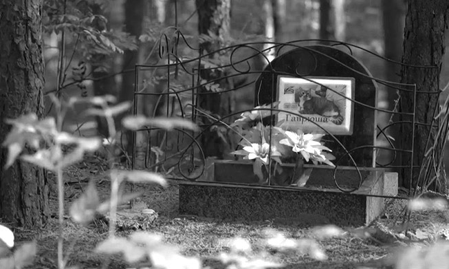 умерло домашнее животное