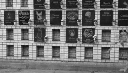 Почему стоит выбрать кремацию после смерти домашнего питомца