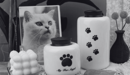 Выбираем ритуальную урну